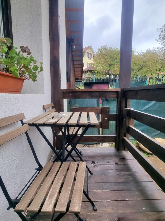 Pensiunea Tobo Baia de Fier Esterno foto